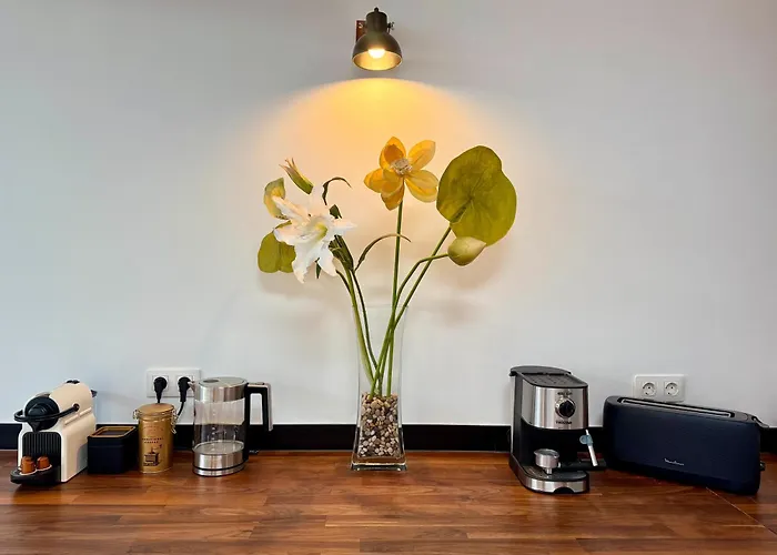 The * プラヤ・ブランカ